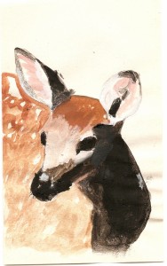 deer2 