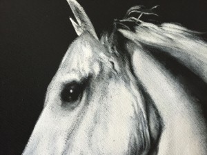 horse_detail1      